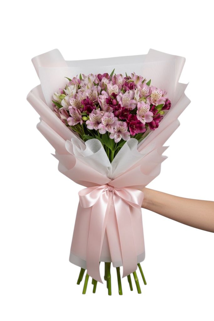 Antología de astromelias