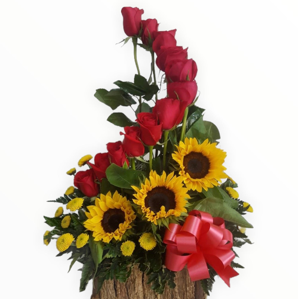 regalo-dia-de-sol-alegria-hogar-bogota